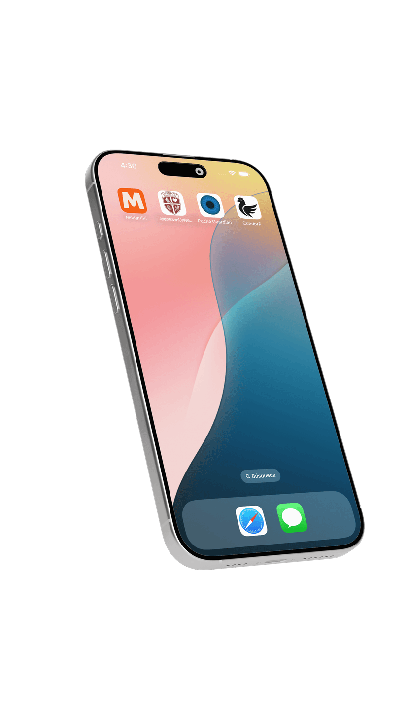 Vista de aplicación web